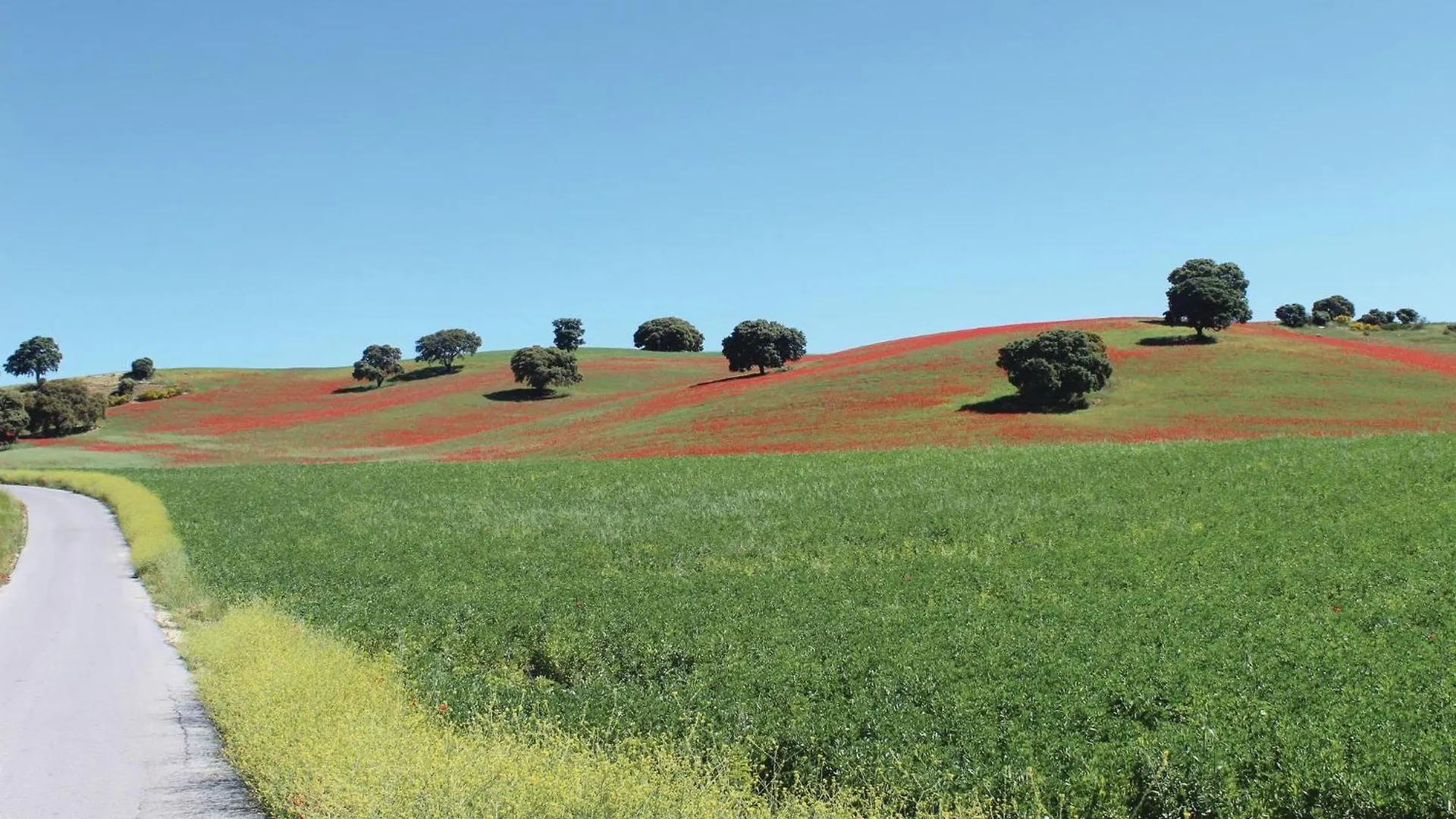 Awesome Home In Montefrio Cortijo de los Gitanos Spain